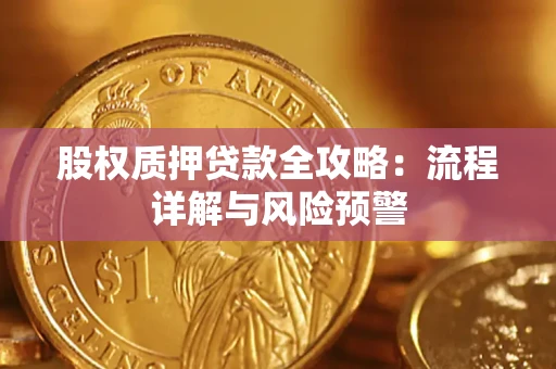 北京股权质押贷款全攻略：流程详解与风险预警
