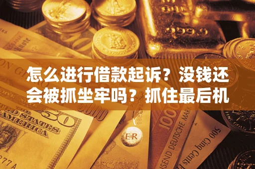 北京怎么进行借款起诉？没钱还会被抓坐牢吗？抓住最后机会！