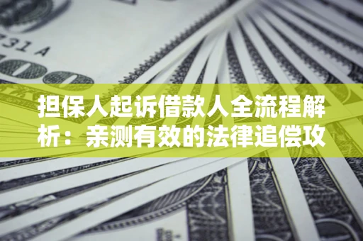 北京担保人起诉借款人全流程解析：亲测有效的法律追偿攻略